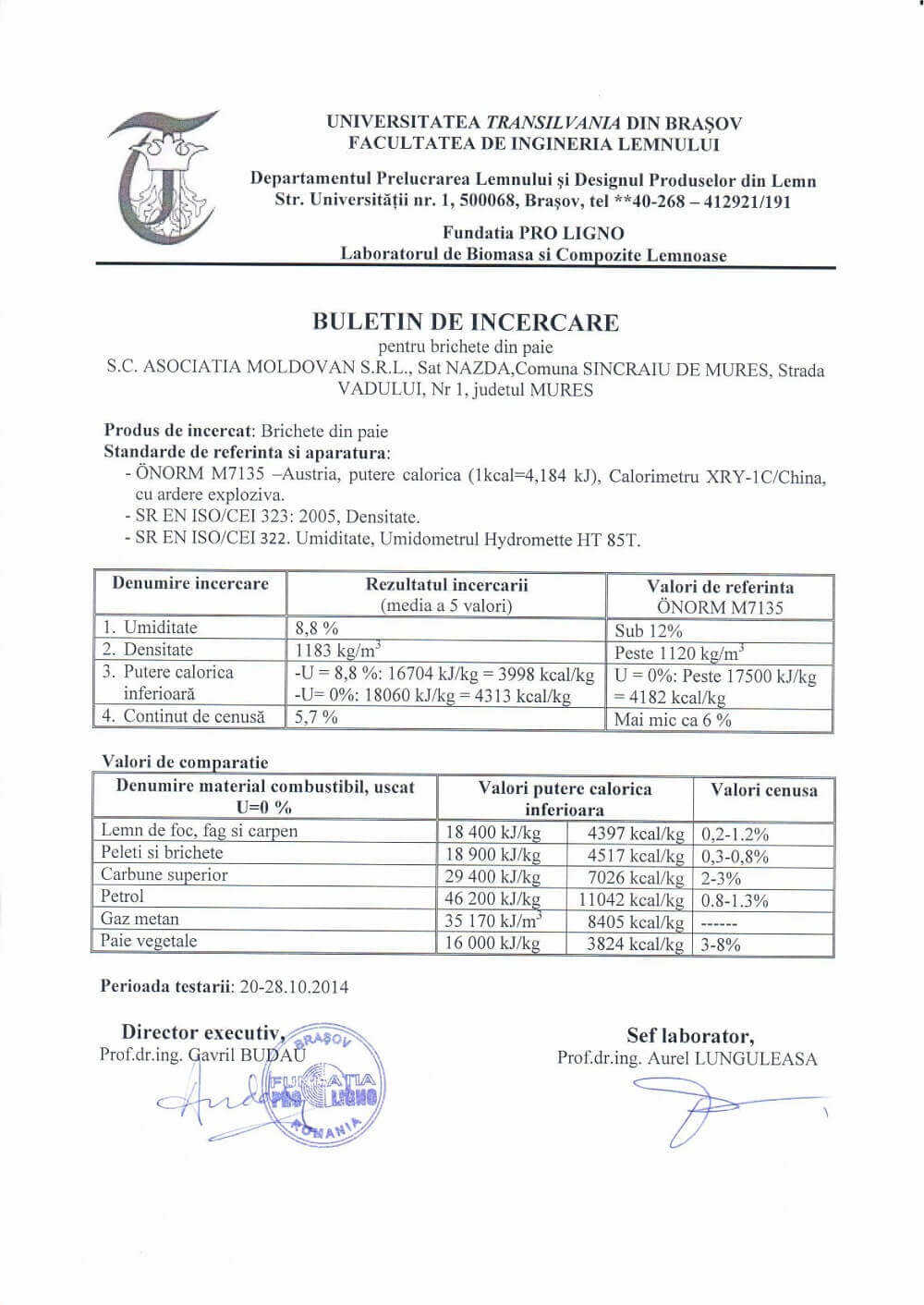 Nazna straw briquette factory