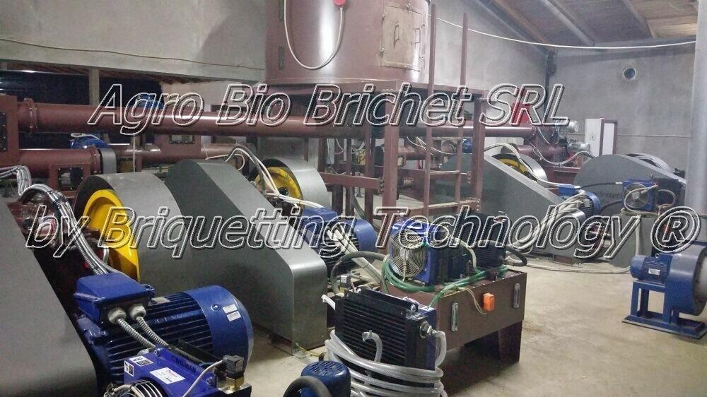 Agro Bio Briquet SRL straw briquetting in Cobadin